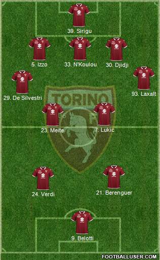 Torino Formation 2020