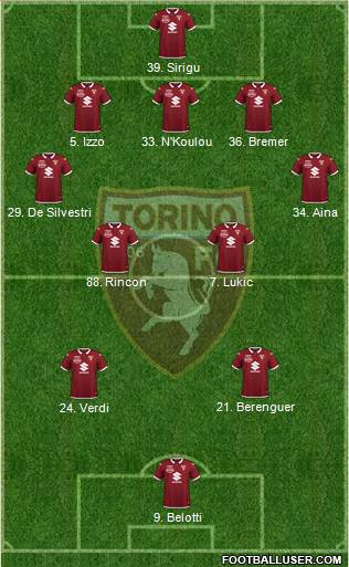 Torino Formation 2020