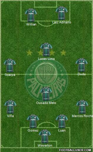 SE Palmeiras Formation 2020