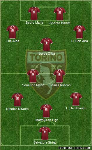 Torino Formation 2020