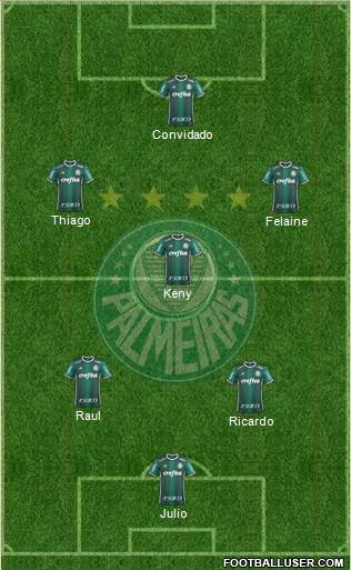 SE Palmeiras Formation 2020