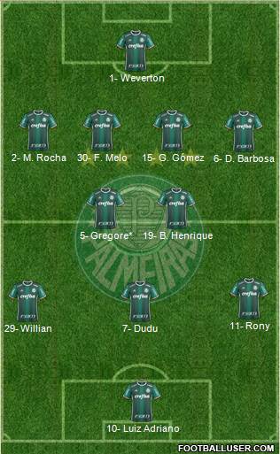 SE Palmeiras Formation 2020