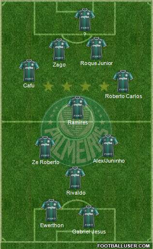 SE Palmeiras Formation 2020