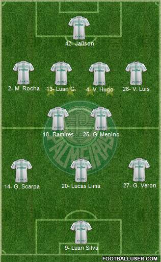 SE Palmeiras Formation 2020