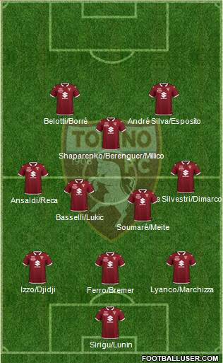 Torino Formation 2020