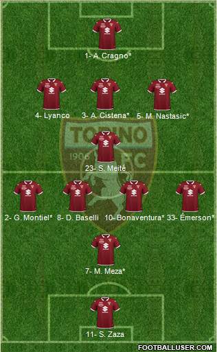 Torino Formation 2020