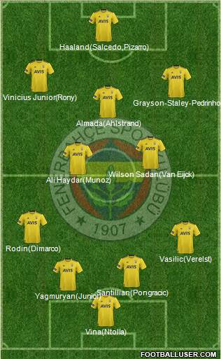 Fenerbahçe SK Formation 2020