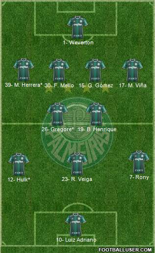 SE Palmeiras Formation 2020