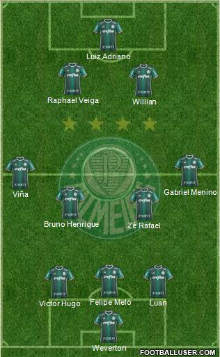 SE Palmeiras Formation 2020