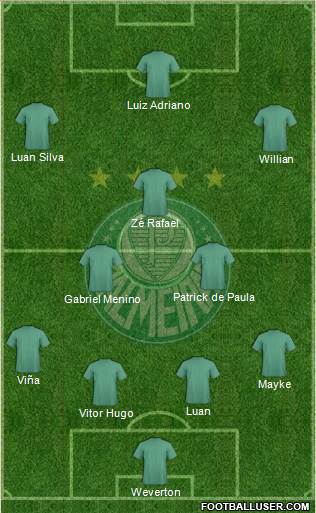 SE Palmeiras Formation 2020