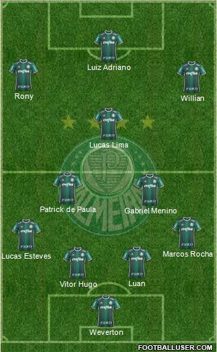 SE Palmeiras Formation 2020