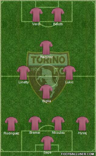 Torino Formation 2020