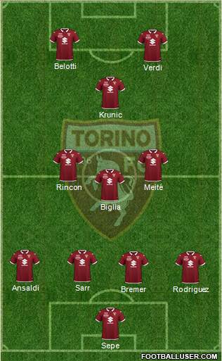 Torino Formation 2020