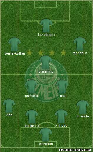 SE Palmeiras Formation 2020