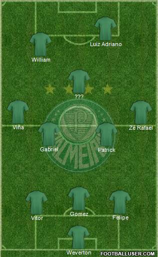 SE Palmeiras Formation 2020