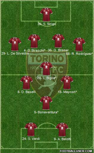 Torino Formation 2020