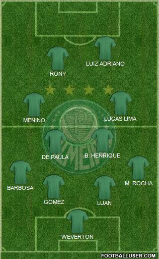 SE Palmeiras Formation 2020