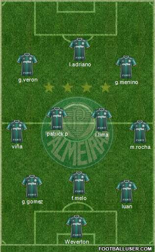 SE Palmeiras Formation 2020