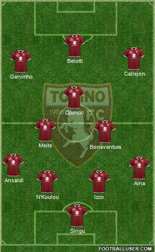 Torino Formation 2020