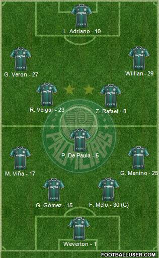 SE Palmeiras Formation 2020