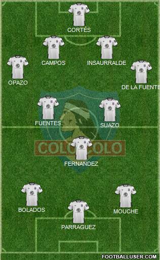 CSD Colo Colo Formation 2020