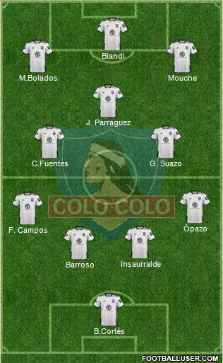 CSD Colo Colo Formation 2020