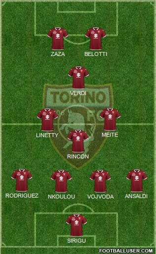 Torino Formation 2020