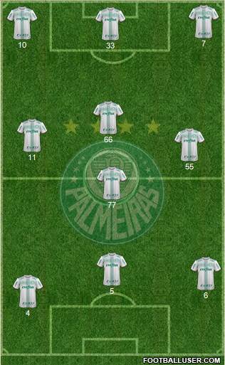 SE Palmeiras Formation 2020