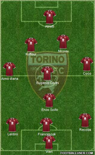 Torino Formation 2020