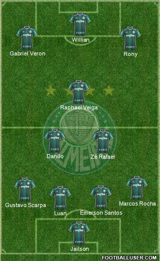 SE Palmeiras Formation 2020