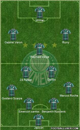 SE Palmeiras Formation 2020