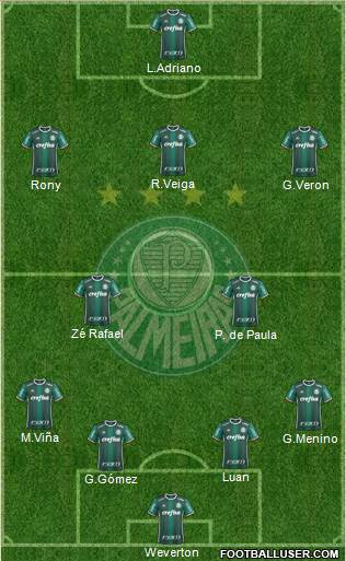 SE Palmeiras Formation 2020