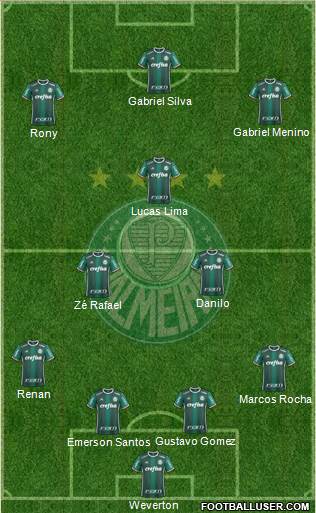 SE Palmeiras Formation 2020