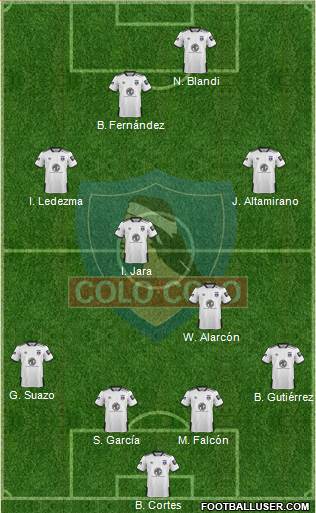 CSD Colo Colo Formation 2020