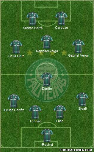 SE Palmeiras Formation 2020