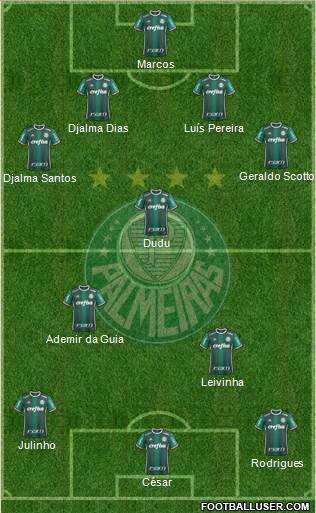 SE Palmeiras Formation 2020