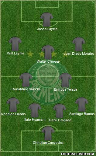 SE Palmeiras Formation 2020