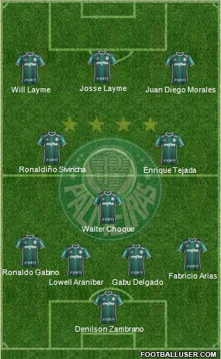 SE Palmeiras Formation 2020