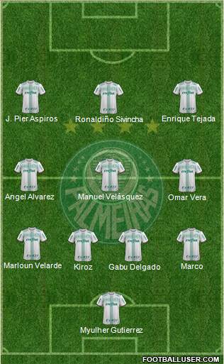 SE Palmeiras Formation 2020