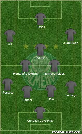 SE Palmeiras Formation 2020