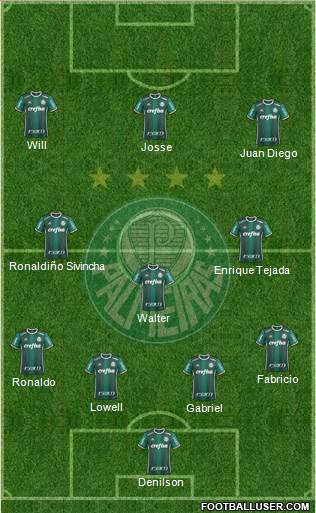 SE Palmeiras Formation 2020