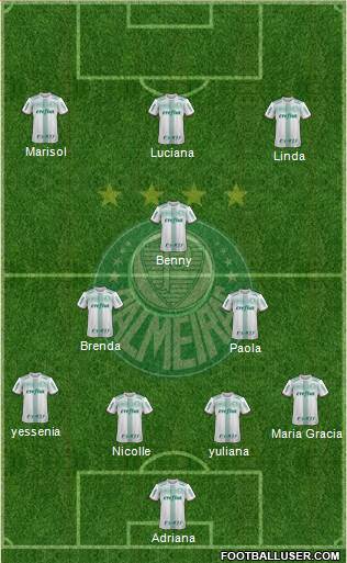 SE Palmeiras Formation 2020