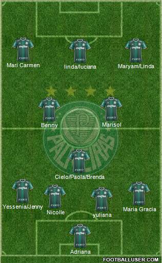 SE Palmeiras Formation 2020