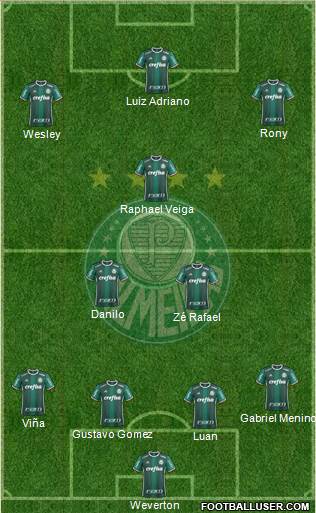 SE Palmeiras Formation 2020