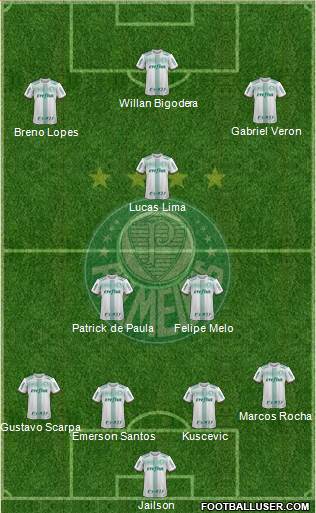 SE Palmeiras Formation 2020