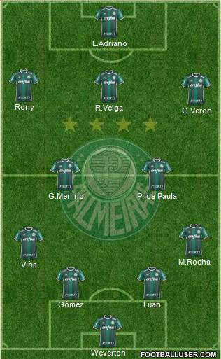 SE Palmeiras Formation 2020