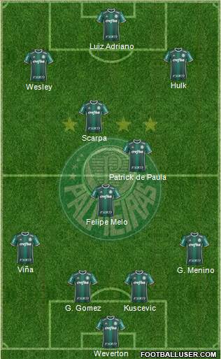 SE Palmeiras Formation 2020