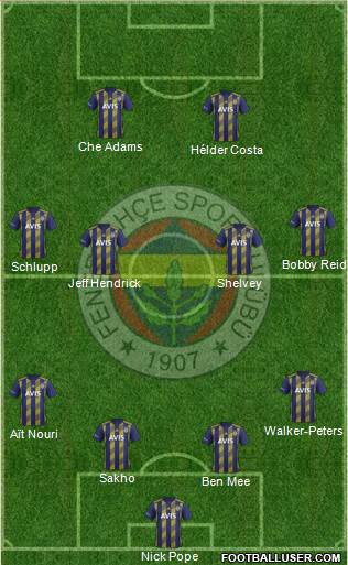 Fenerbahçe SK Formation 2020