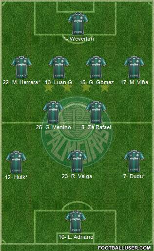 SE Palmeiras Formation 2020