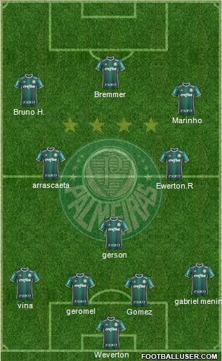 SE Palmeiras Formation 2021